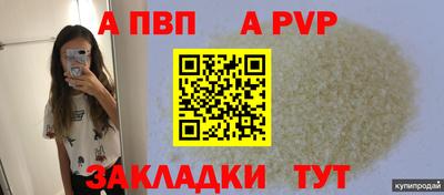 индика Кандалакша