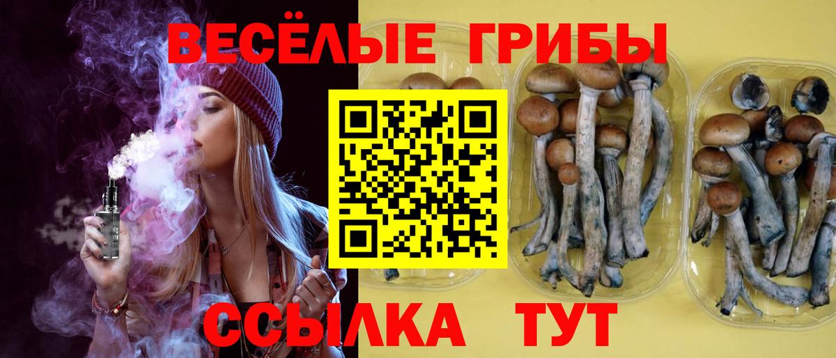 Трёхгорный  Псилоцибиновые грибы Magic Shrooms  Вход с VPN  Псилоцибиновые грибы Magic Shrooms 