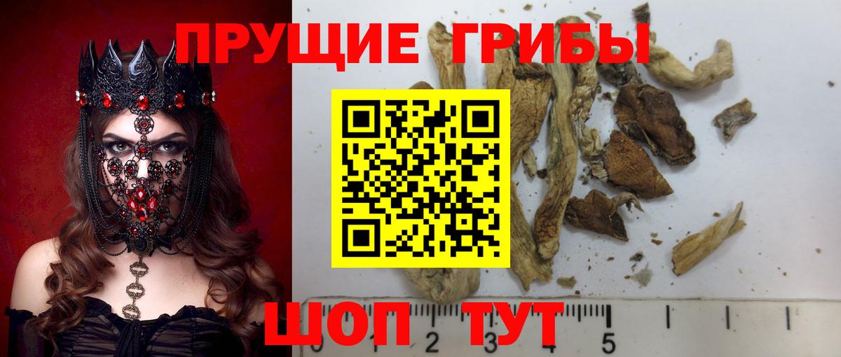 Галлюциногенные грибы Magic Shrooms Трёхгорный